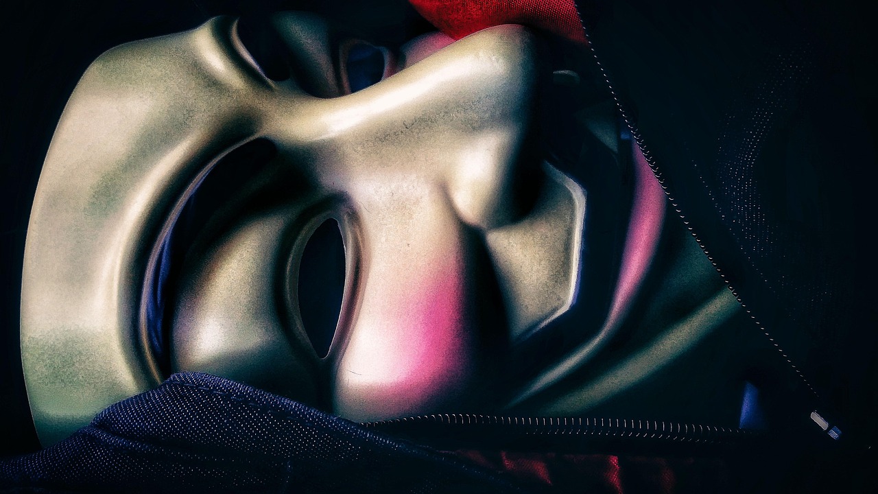 Insta Story Viewer Molly: Anonymous Viewing and Its Realities