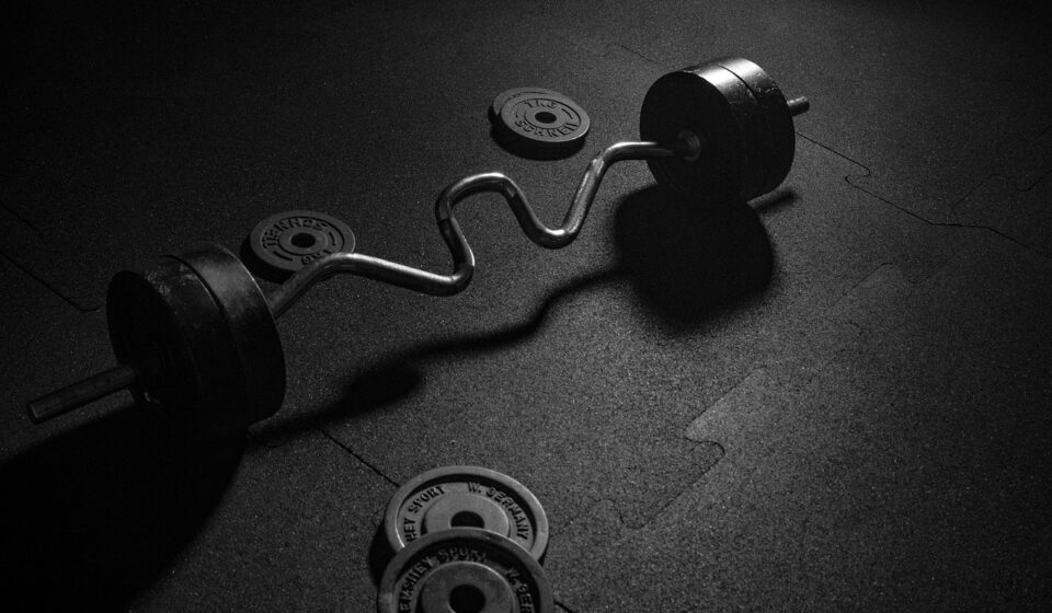 different types of barbells gym