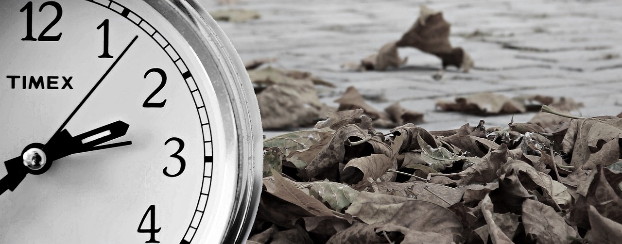 Metanoia: The Profound Journey of Changing Your Mind and Life
